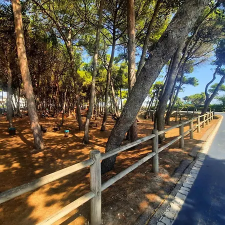 Appartement Lia Trilo - Myho Casa Alba Adriatica